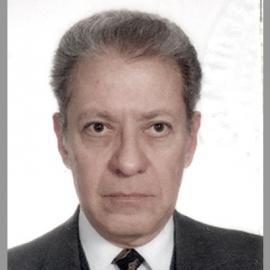 Joaquí­n Martí­nez Alfaro