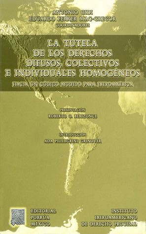 La tutela de los derechos difusos, colectivos e individuales homogéneos. Hacia un código modelo para Iberoamérica